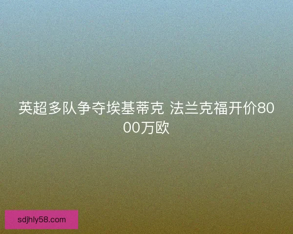 英超多队争夺埃基蒂克 法兰克福开价8000万欧 英超多队争夺埃基蒂克 法兰克福开价8000万欧