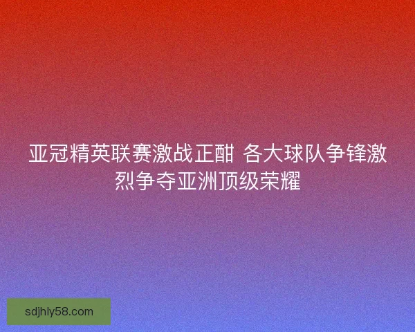 亚冠精英联赛激战正酣 各大球队争锋激烈争夺亚洲顶级荣耀