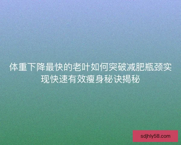 体重下降最快的老叶如何突破减肥瓶颈实现快速有效瘦身秘诀揭秘 体重下降最快的老叶如何突破减肥瓶颈实现快速有效瘦身秘诀揭秘