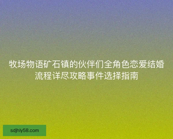 牧场物语矿石镇的伙伴们全角色恋爱结婚流程详尽攻略事件选择指南