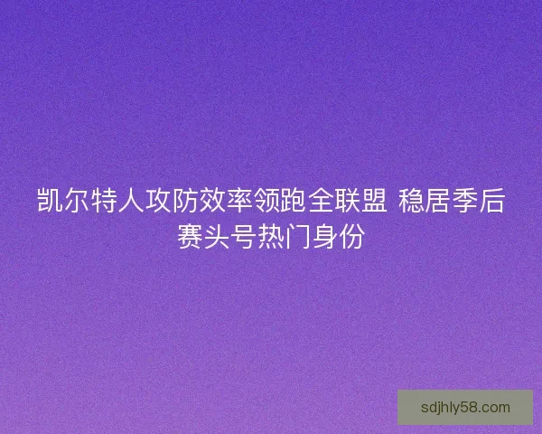 凯尔特人攻防效率领跑全联盟 稳居季后赛头号热门身份